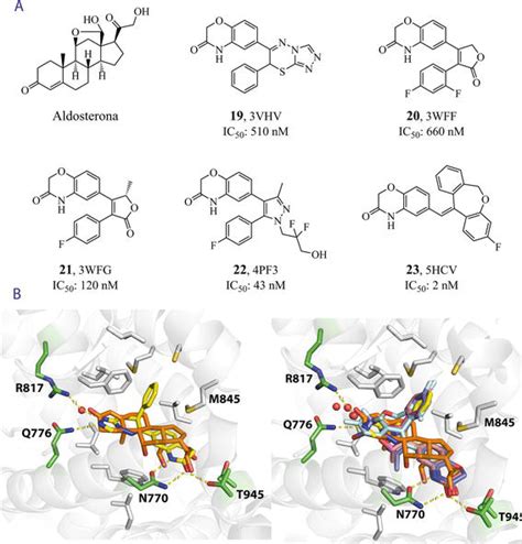 Advances in the Development of Non-steroidal Mineralocorticoid-receptor ...