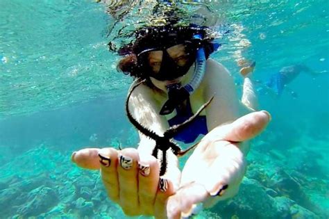 Experience the adventurous snorkeling with an all inclusive virgin ...