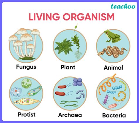 Introduction - Various life processes around us - Biology Class 10