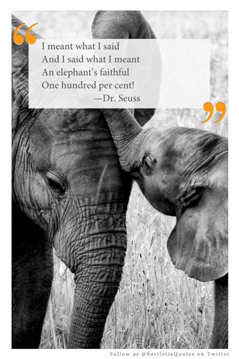 elephant quote | Elephant quotes, Elephant, Elephant facts