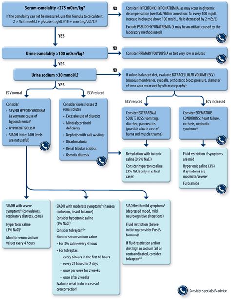 Hyponatremia Causes Algorithm