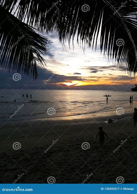 Sunset on the Beach Silhouette Stock Image - Image of tourist, coast ...