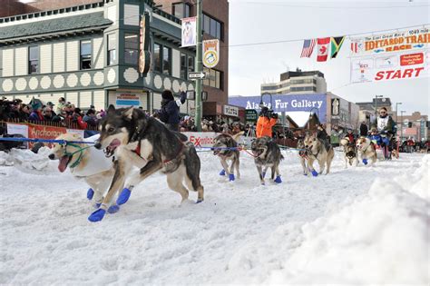 Seven Day Alaska Winter Festival Itinerary | Travel Alaska