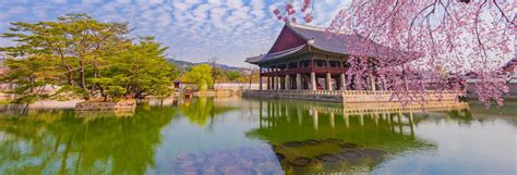 Gyeongbokgung Palace Tour, Seoul