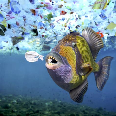 Disturbing composite photos reimagine ocean pollution