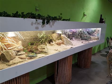 Bearded Dragon Enclosure Ideas Reddit : Bearded Dragon-enclosure ...