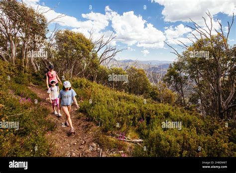 Mount Buller Walking and Biking Trails in Summer Stock Photo - Alamy