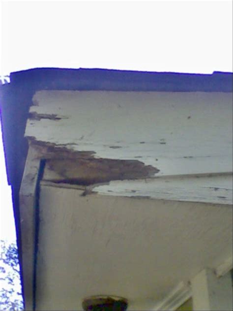 Eaves and Fascia Board Repair: How (Not) to Fix Them | Dengarden