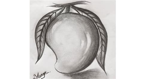 How to draw a mango 🥭with pencil shading #mango#art #virl #drawing ...