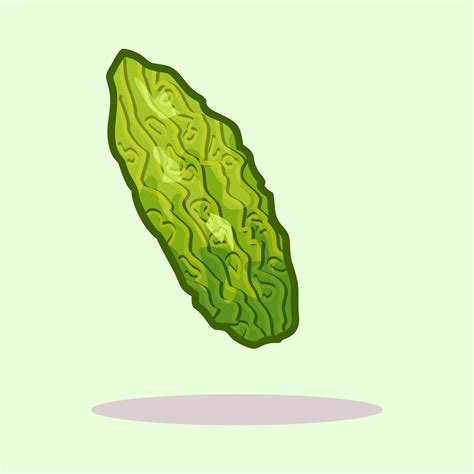 Fresh bitter gourd drawn cartoon illustration 15371409 Vector Art at ...