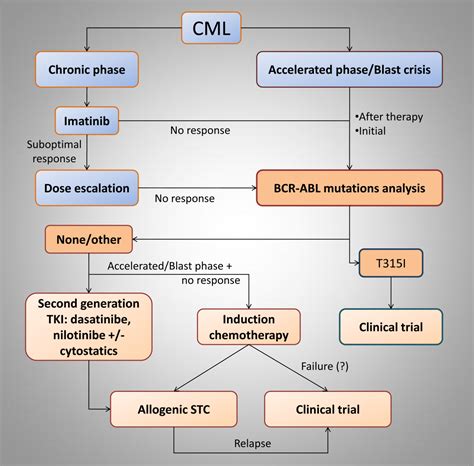 Leukemia Treatment Chemotherapy