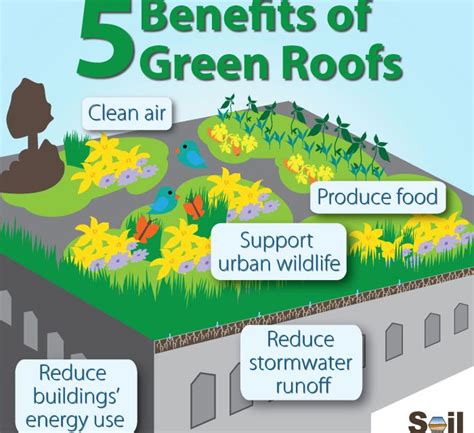 Going Green, the Incredible Benefits of Green Roofs