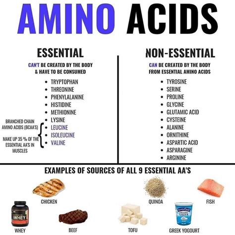 What Food Has All Essential Amino Acids Various Styles | dpise2022.dps ...