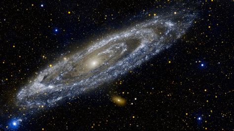 GALEX Image of the Andromeda Galaxy - backiee