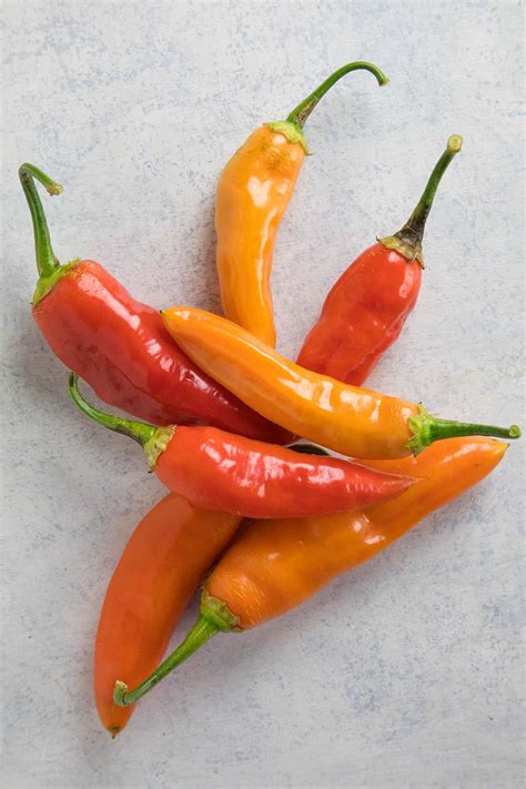 Chili Pepper Types - A List of Chili Peppers and their Heat Levels ...