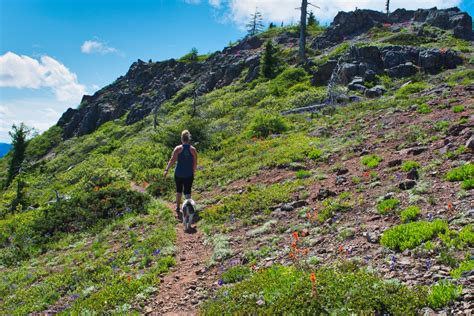 Bachelor Mountain Hike Image