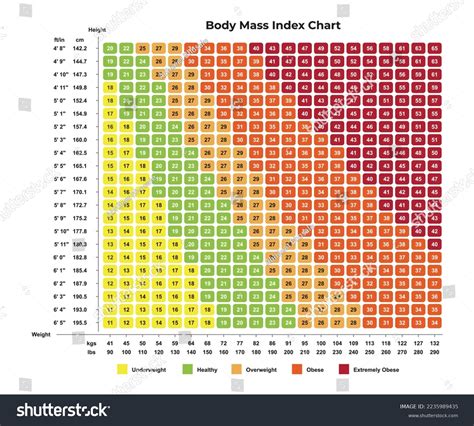 How To Calculate Your BMI And What It Means, 55% OFF