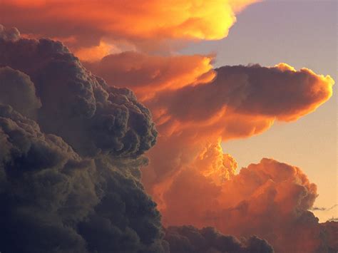 Cumulus Clouds At Sunset - Clouds Wallpaper