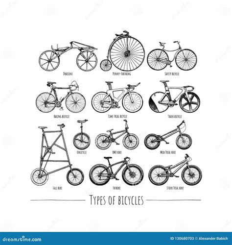 Types Of Bikes Vector Illustration | CartoonDealer.com #130681084