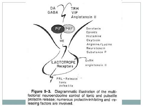 Prolactin