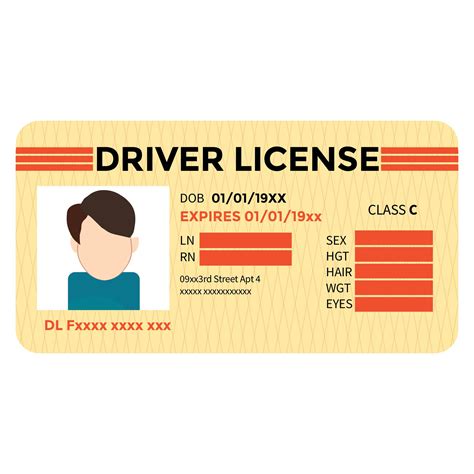 Printable Blank Drivers License Template