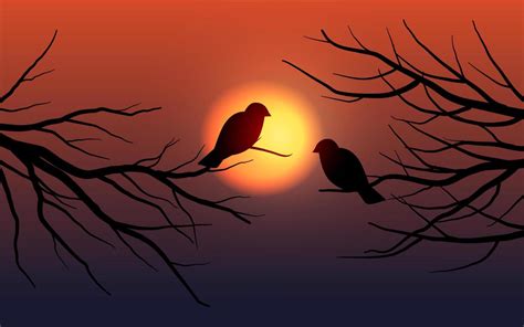 Birds silhouette on sunset background 8074238 Vector Art at Vecteezy