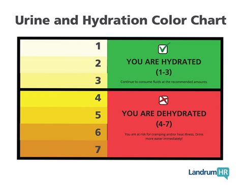 Printable Urine Hydration Chart