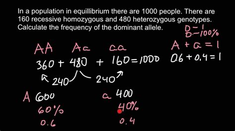 Allele Frequency Definition