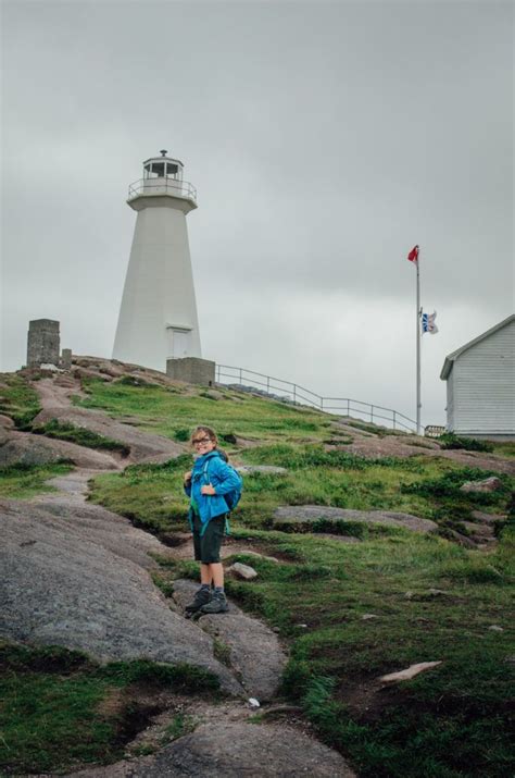 Cape Spear Trail, Newfoundland - The Driftwoods Family | Canada travel ...