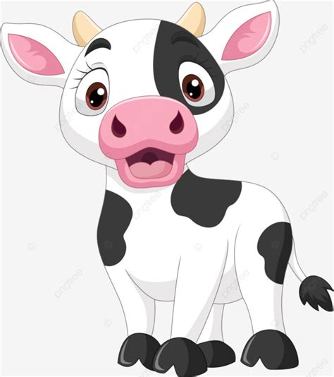 Baby Cow Vector Hd PNG Images, Cute Baby Cow Cartoon On White ...