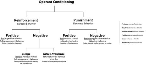 | Operant Conditioning by Edward Thorndike, BF Skinner