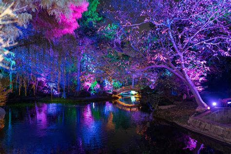 Photo gallery: Fort Worth Botanic Garden lights up season with ...