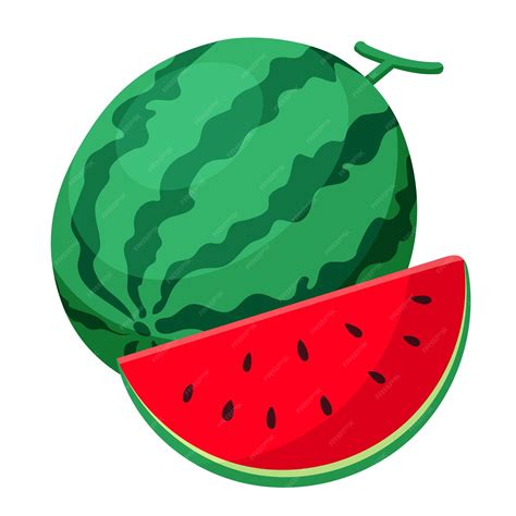 Premium Vector | Watermelon and slice