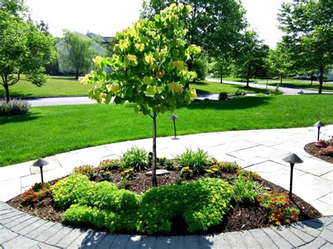 Ornamental Dwarf Trees For Landscaping — Randolph Indoor and Outdoor Design