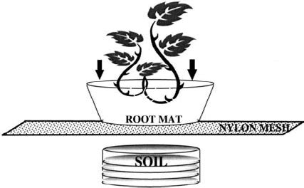 Schematic showing the methods used for sampling from the rhizosphere of ...