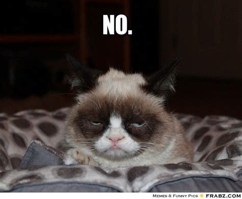 No.... - grumpy cat Meme Generator Captionator | Grumpy cat meme ...