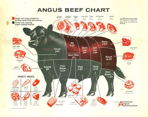 Angus Beef Chart Meat Cuts Diagram