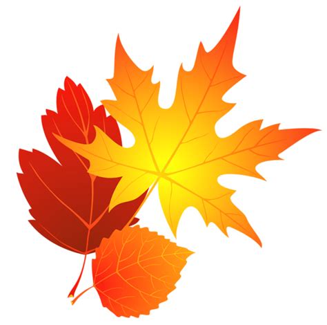 Autumn leaf color Clip art - Transparent Fall Leaves and Chestnuts ...