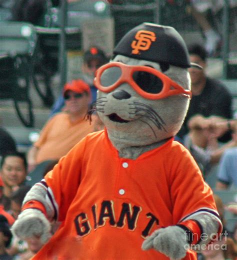 Lou Seal San Francisco Giants Mascot Photograph by Tap On Photo