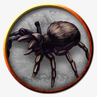 Giant Spider - Osrs Giant Spider PNG Image | Transparent PNG Free ...