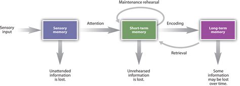 Memory Diagram Pearltrees - Riset