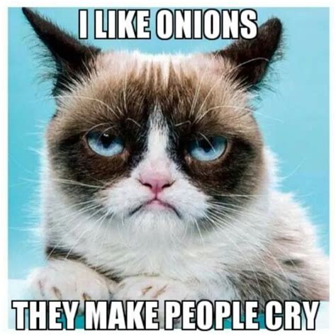 15+ of the Best Grumpy Cat Memes (Rest in Peace) | Mama's Geeky