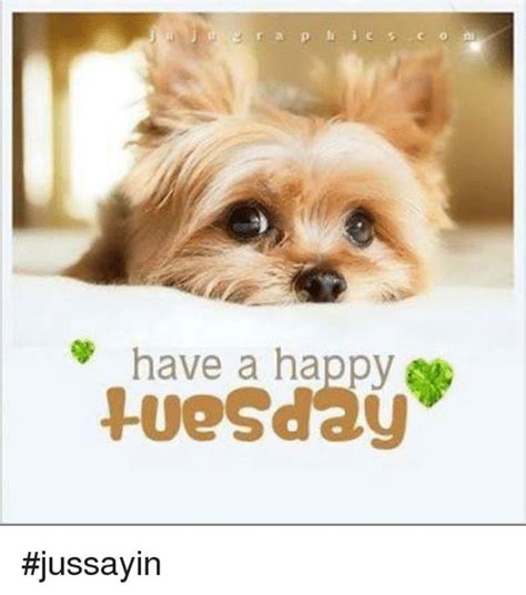 Tuesday Memes - Funny Happy Tuesday Pictures