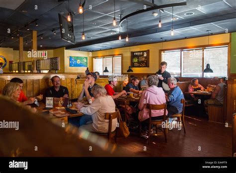 Why are Outback Steakhouse Hours So Popular? - ONLINE CLASS TIME