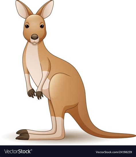 Drawing Kangaroo Illustration - bmp-get