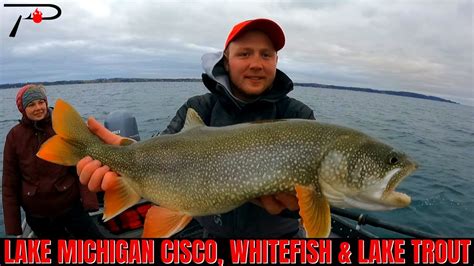 Lake Michigan Cisco, Whitefish & Lake Trout Fishing - YouTube