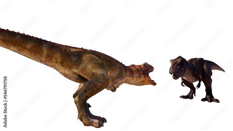 tyrannosaurus-rex vs Ceratosaurus PNG Stock Illustration | Adobe Stock