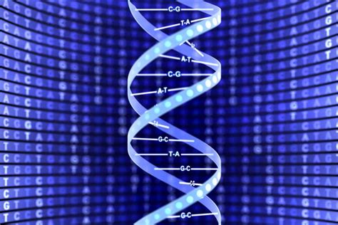 Dna Double Helix Structure 3d Model