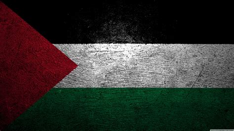 Palestine Flag Wallpapers - Top Free Palestine Flag Backgrounds ...