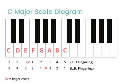 C Major Scale on the Piano: Notes, Fingerings & More